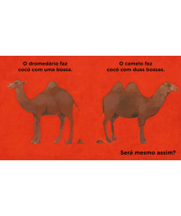 Todos Fazemos Cocó